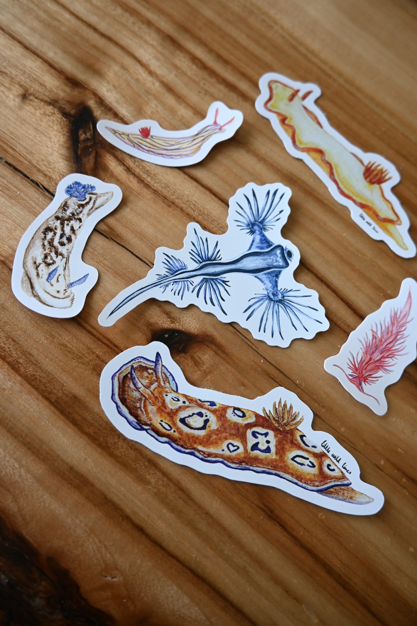 Nudibranch Sticker pack
