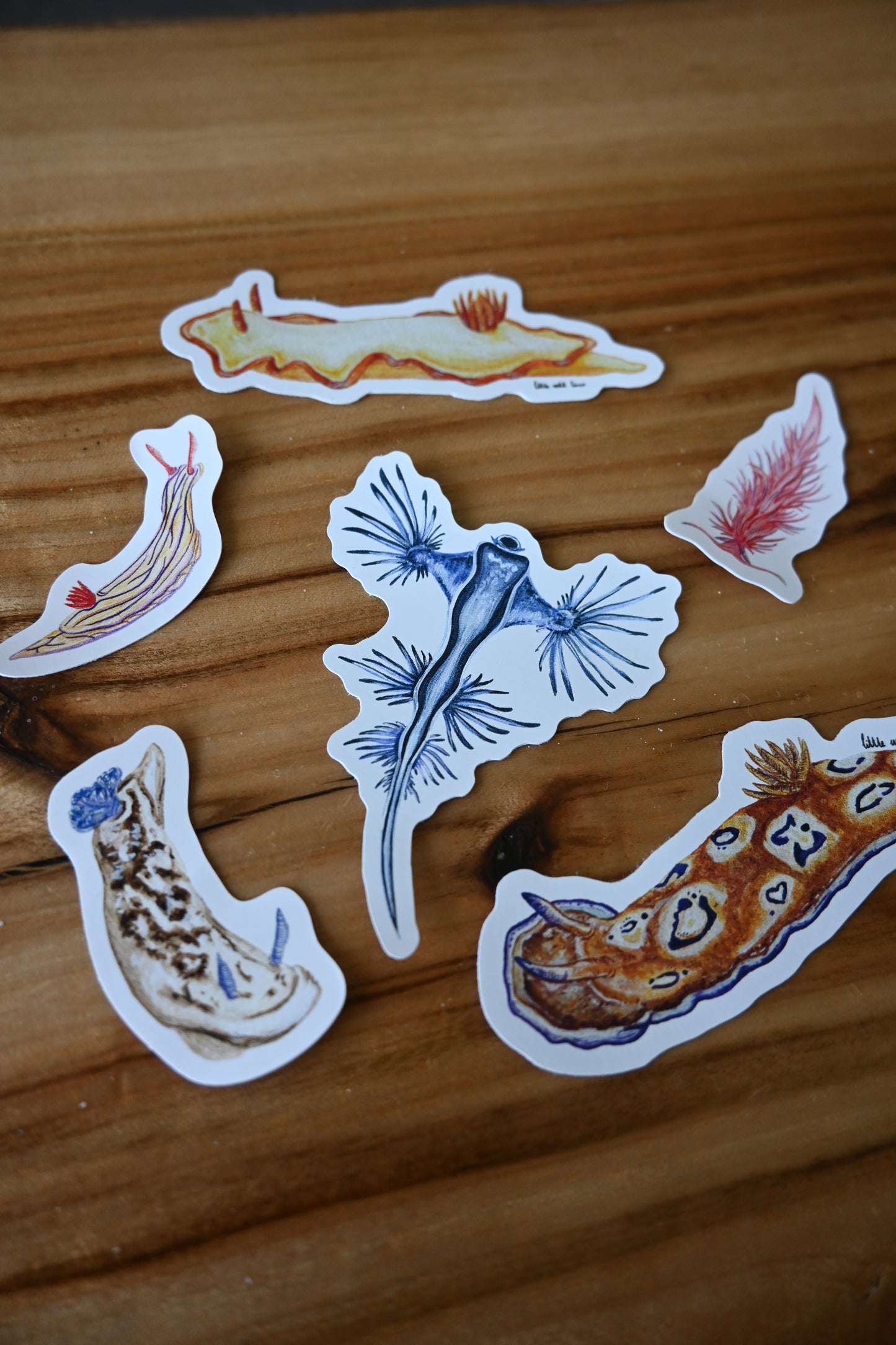 Nudibranch Sticker pack