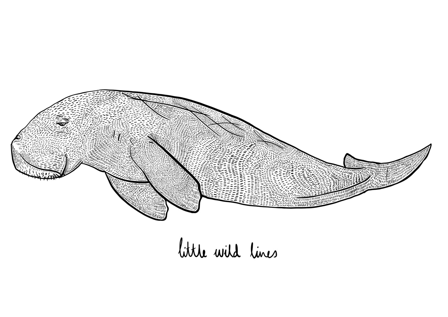 The Dugong Tee - Printed to Order