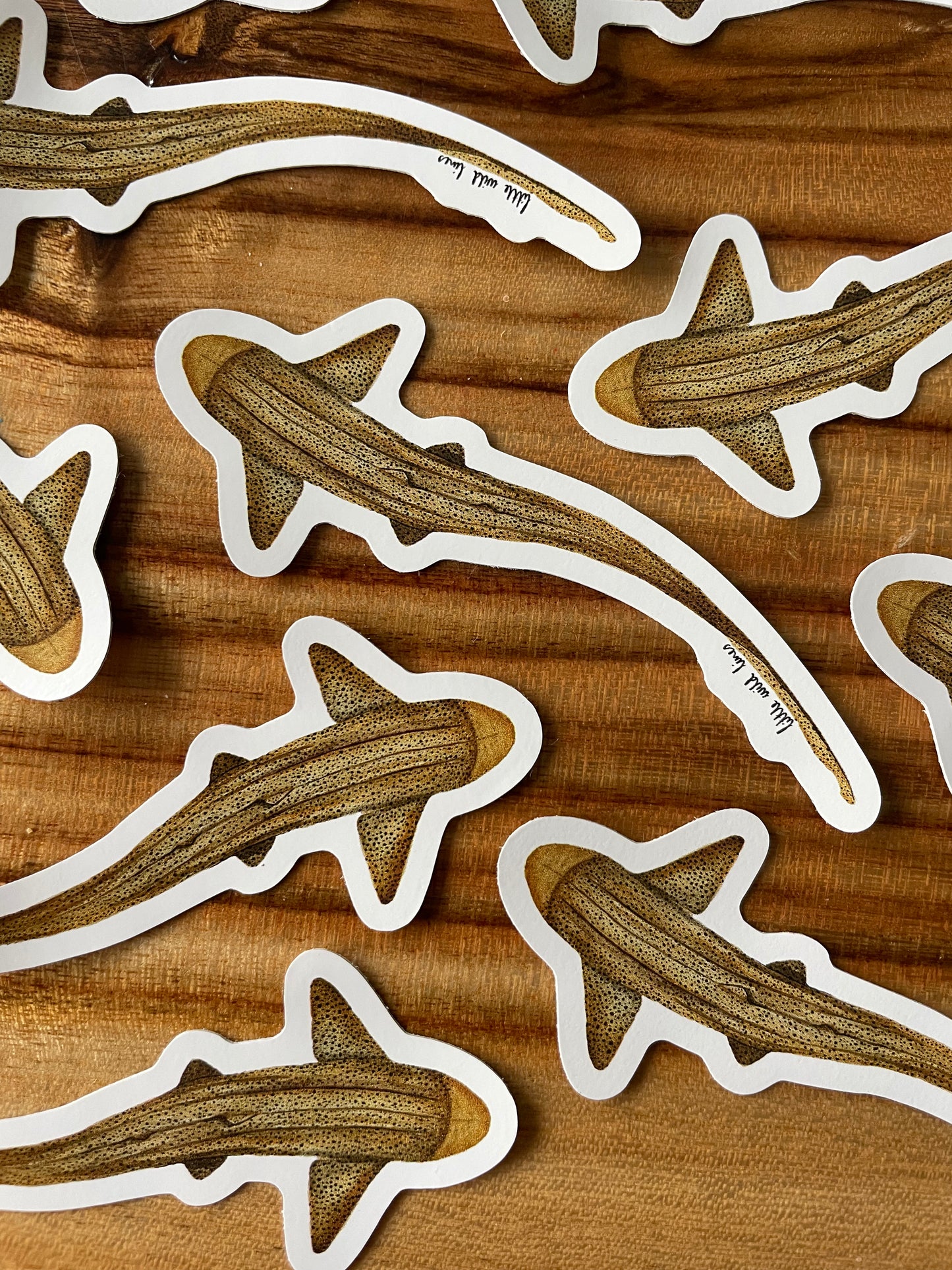 Leopard Shark Sticker
