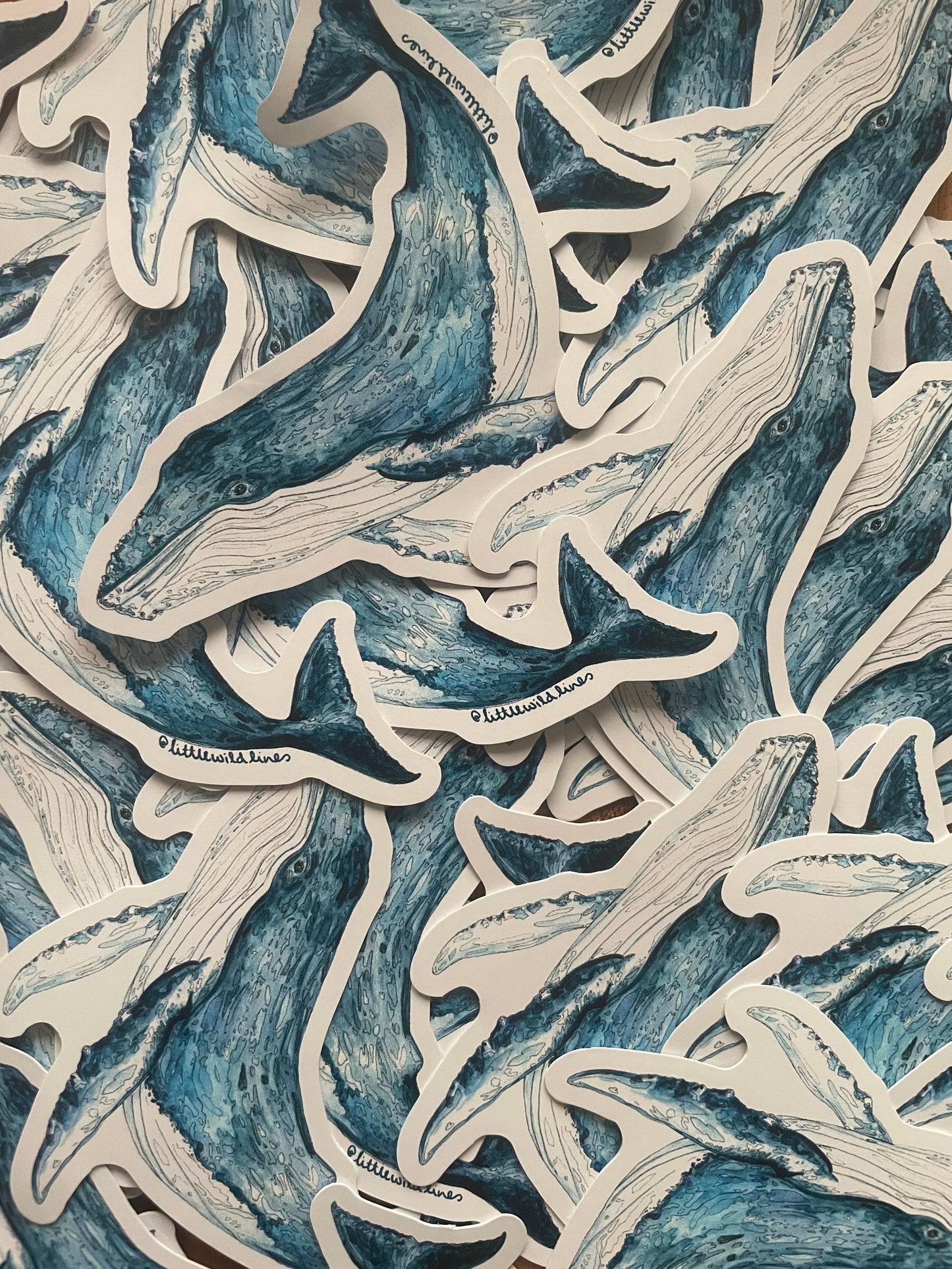 Whale Sticker