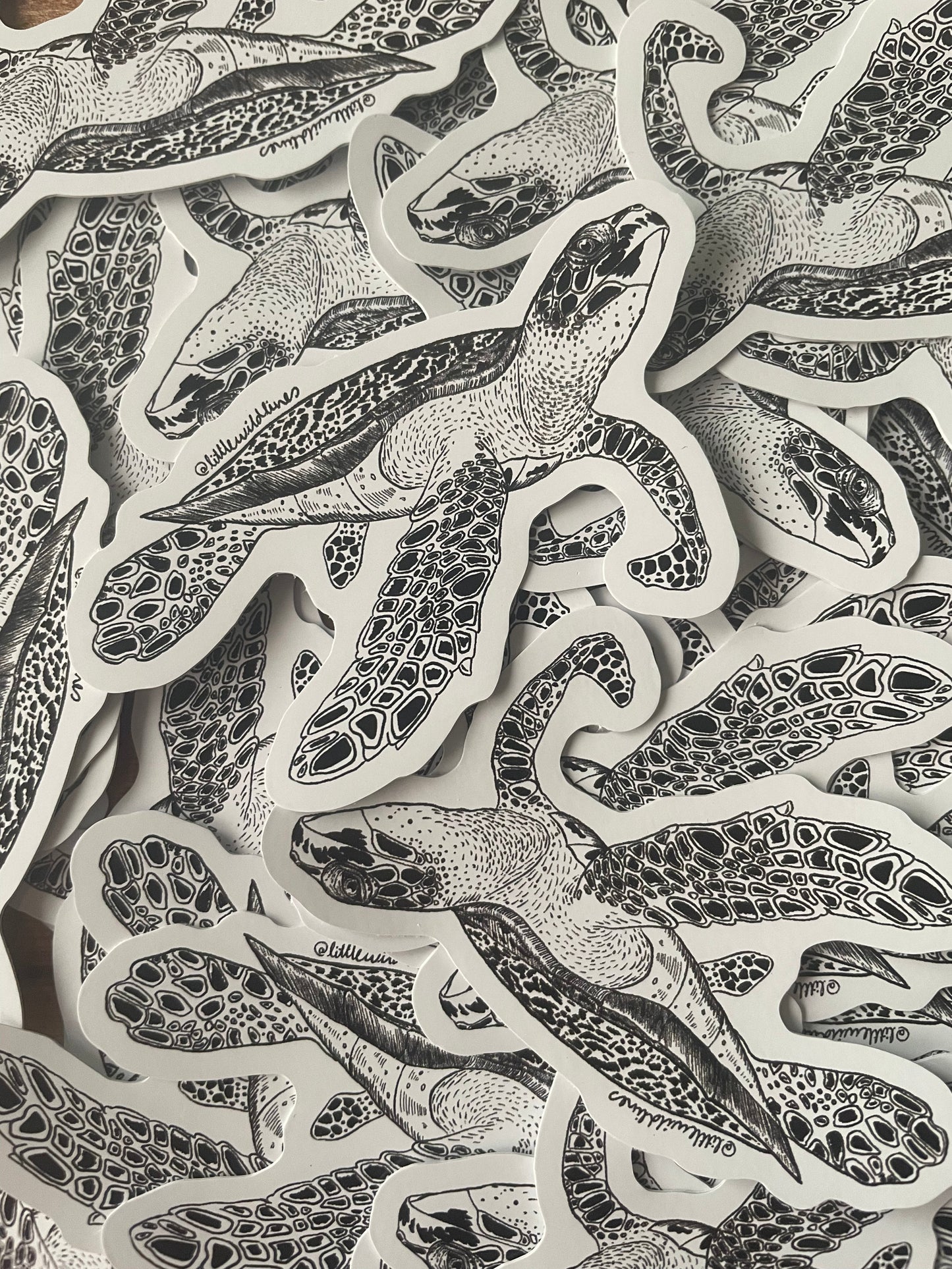Turtle Sticker