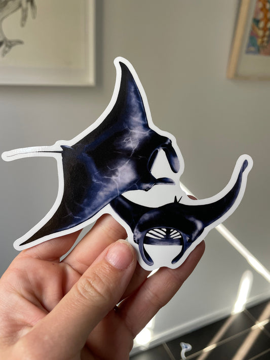 Large Manta Ray Sticker